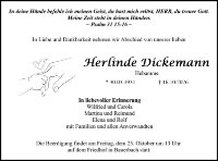 eine Anzeige